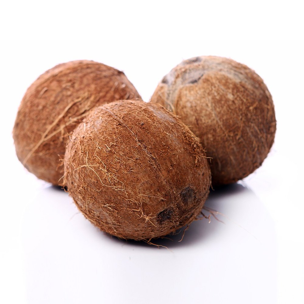 A Grade Solid Semi Husked Coconut, Coconut Size: Medium