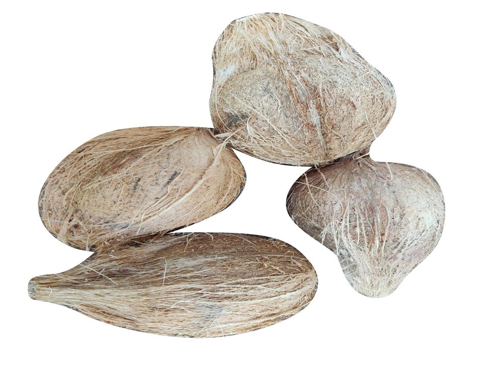 Grade B Semi Husked Coconut, Packaging Size: 100kg