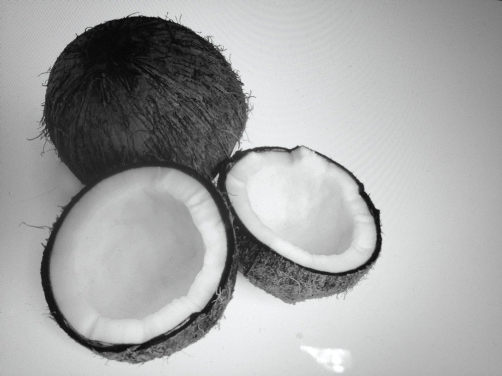 A Grade Solid Mature Black Coconut, Packaging Size: 50 Kg, Coconut Size: Large