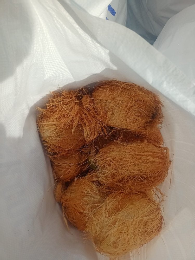 A Grade Solid SEMI HUSKED COCONUT FOR EXPORT, Packaging Size: 20 Kg, Coconut Size: Large