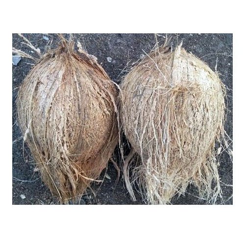 Semi Husked Coconut