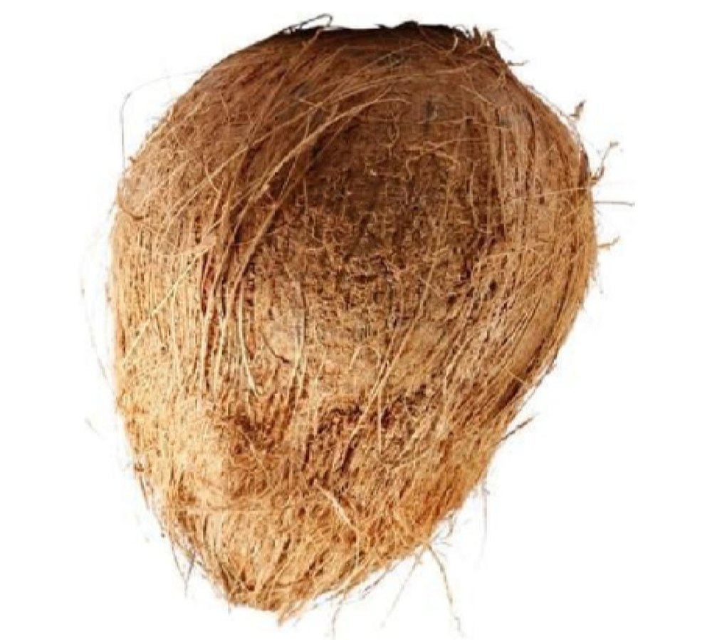 A Grade Solid Fresh Husked Coconut, Coconut Size: Medium