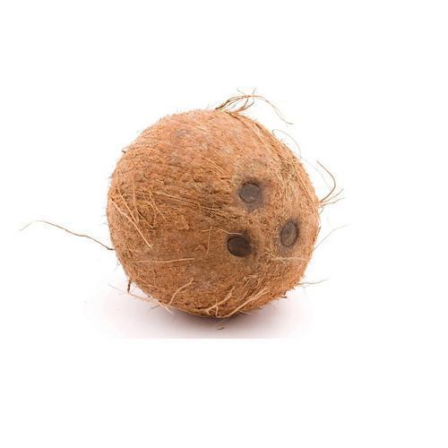 Three Eye Coconut