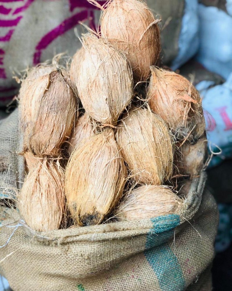 A Grade Solid Husked Coconut 150 dana, Packaging Size: 70kg, Coconut Size: Medium