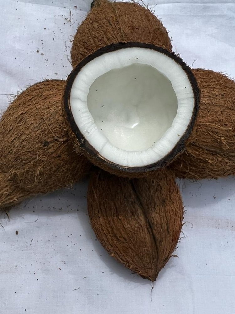 A Grade Solid Semi Husked Coconut, Packaging Size: 50 Kg, Coconut Size: Medium