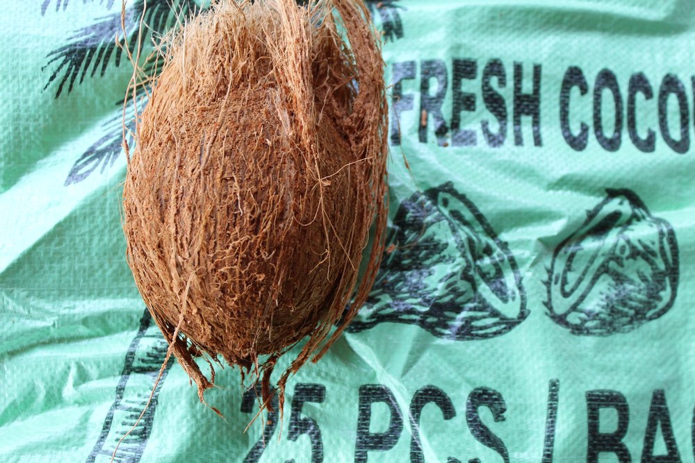 Fresh Husked Coconut