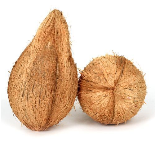 Pollachi Coconuts