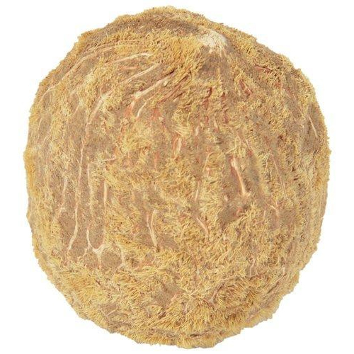 A Grade Semi Husked Ekakshi Nariyal, Coconut Size Available: Medium