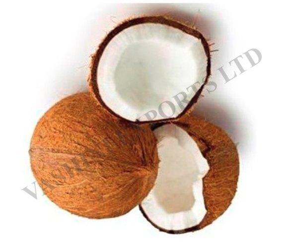 A Grade Fresh Organic Coconut