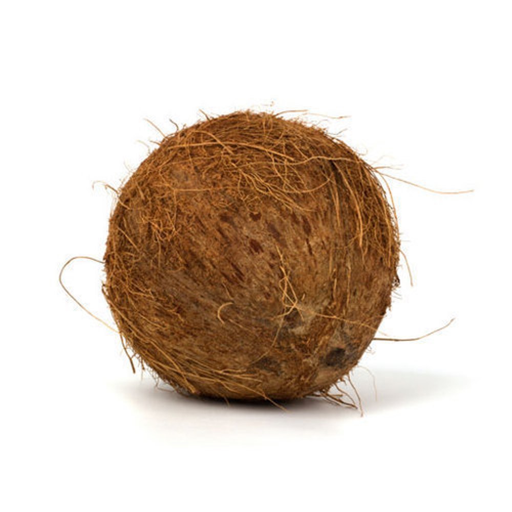 A Grade Solid Organic Brown Coconut, Coconut Size: Large