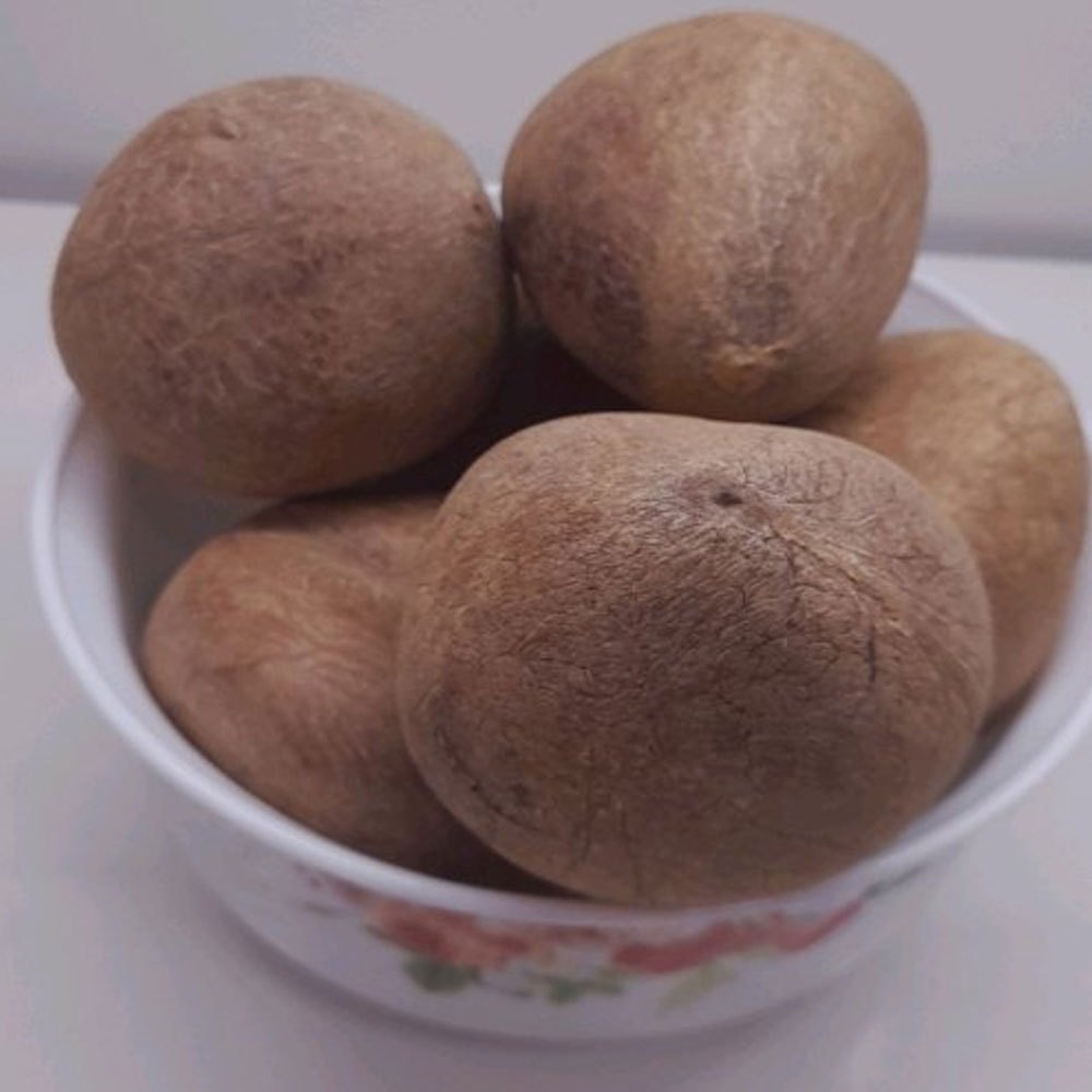 A Grade Solid Organic Coconut, For Food, Coconut Size: Medium