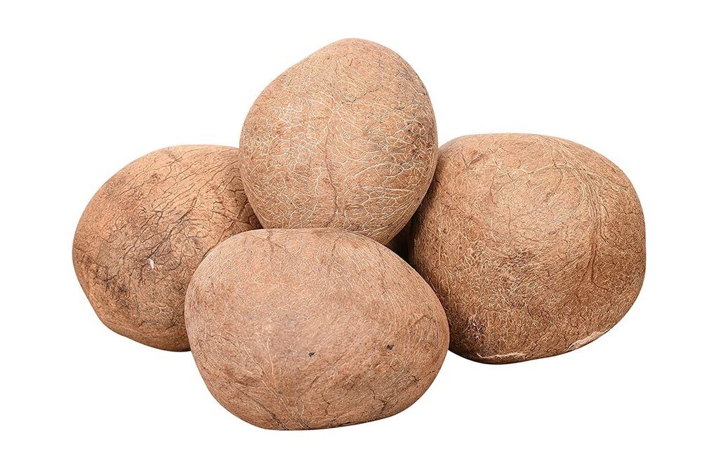 A Grade Solid Dried Organic Coconut, Coconut Size: Medium