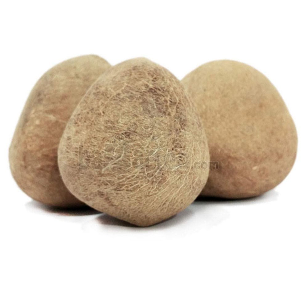 A Grade Solid Organic Dried Coconut, Coconut Size: Medium, Packaging Type: Loose
