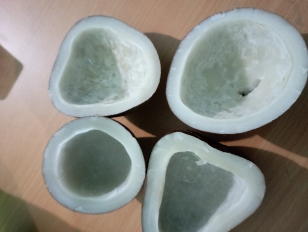 Dry Half Cut Dried Coconut Copra, For Oil Making, Packaging Size: 1kg