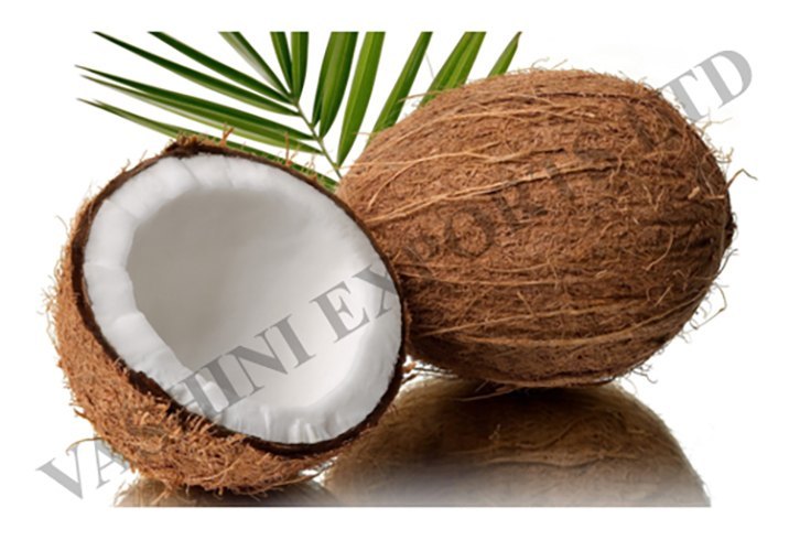 A Grade Organic Mature Coconut