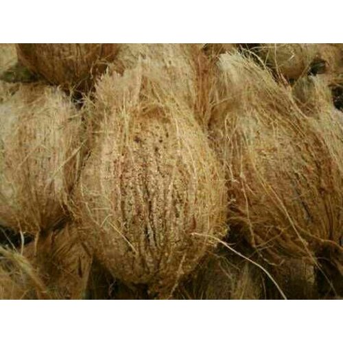 Semi Husked Coconut