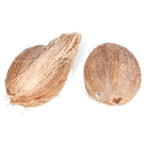A Grade Solid Fresh Coconuts, Coconut Size: Medium
