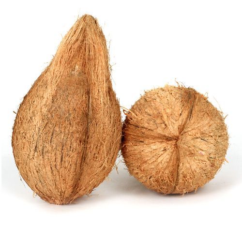 Fresh Dehusked Coconut