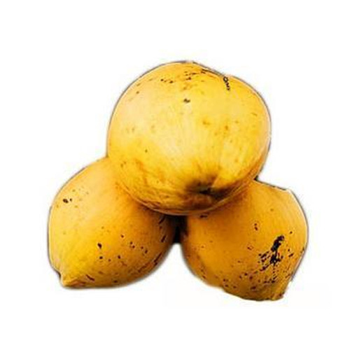 Yellow Coconut