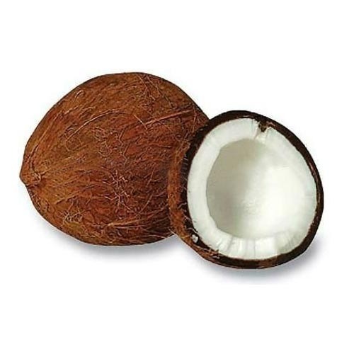 Matured Coconut