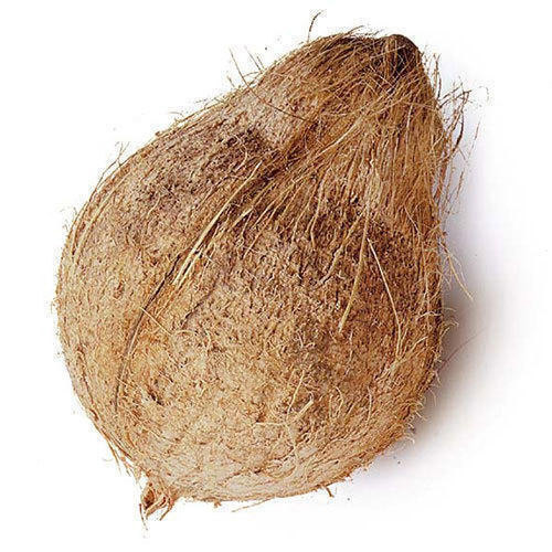 Medium Size Semi Husked Fresh Matured Coconut