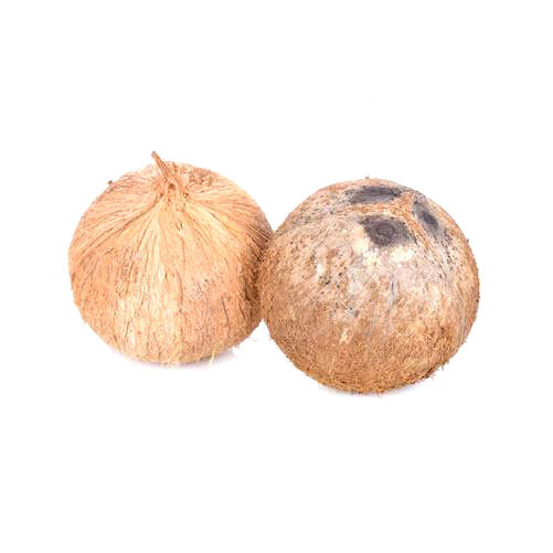 Mature Organic Coconut