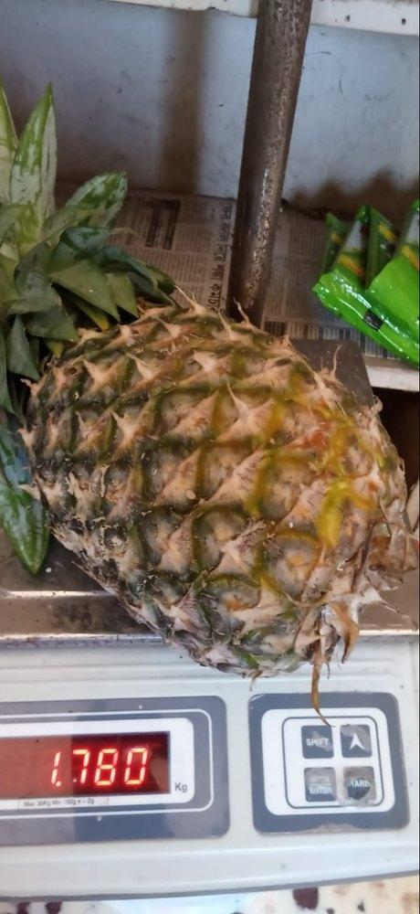 A Grade Pineapple, Packaging Size: 5 Kg