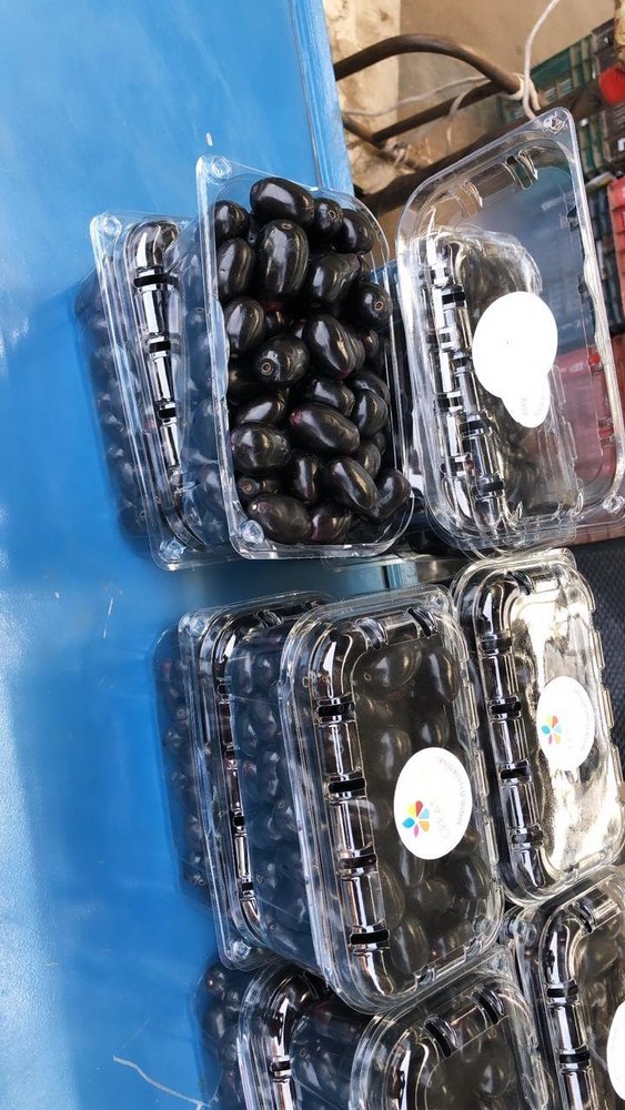 A Grade fresh black jamun