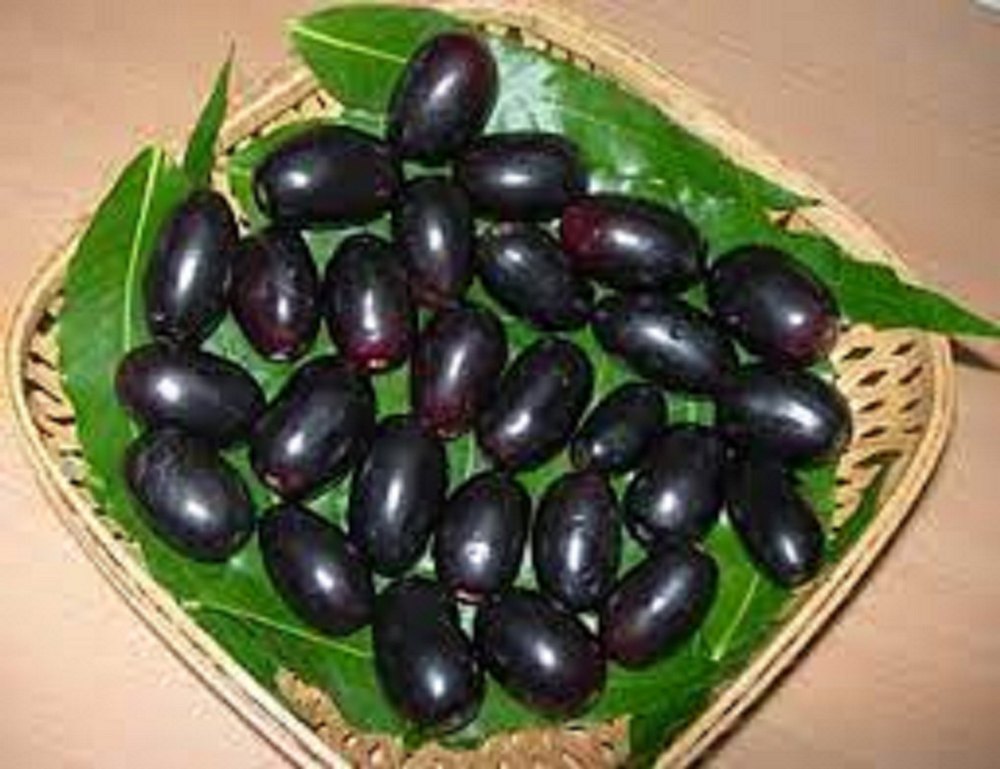 A Grade Fresh Black Jamun, Packaging Size: 1