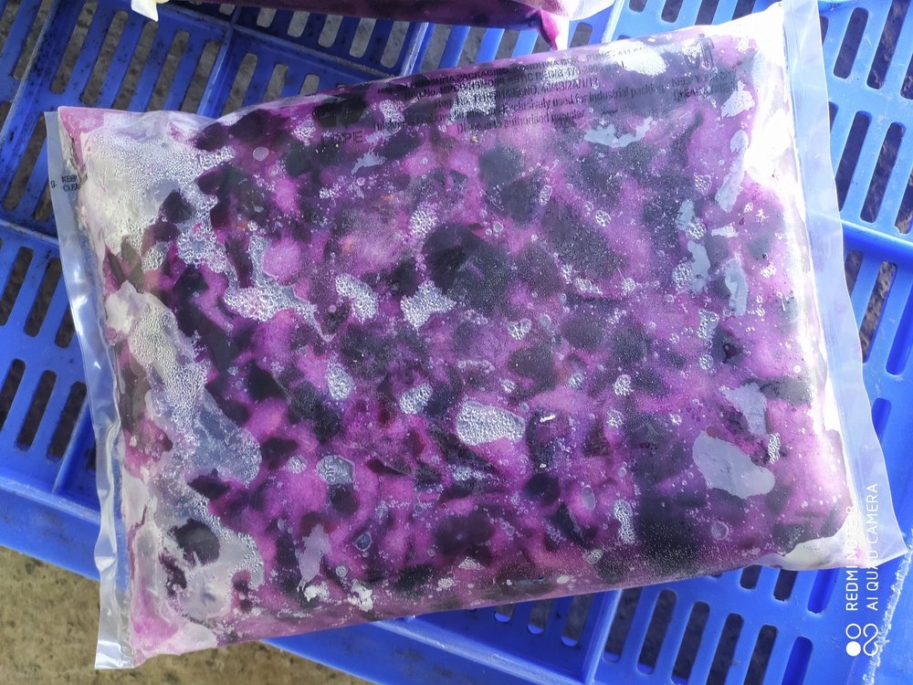 A Grade Frozen Jamun Slices