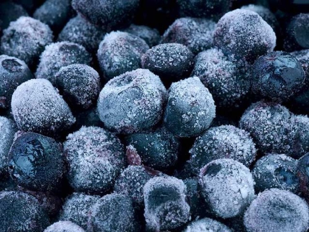 A Grade Frozen Jamun, Packaging Type: Loose