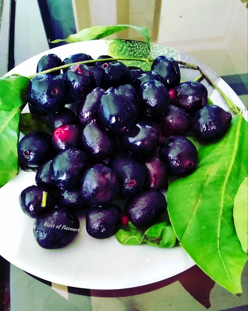 A Grade Frozen Black Jamun Slice