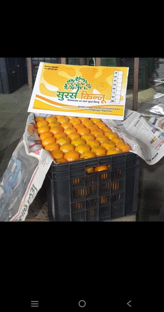 Orange A Grade Kinnow, Packaging Size: 20 Kg, Packaging Type: Crates