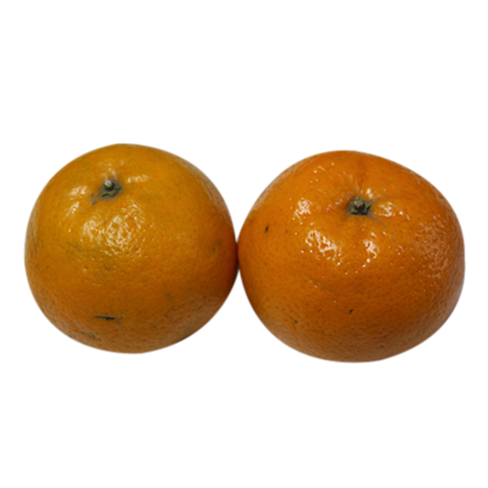 Fresh Kinnow