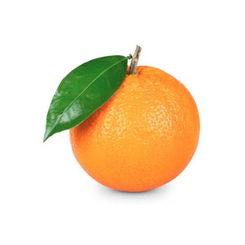 A Grade Maharashtra Fresh Kinnow, Packaging Size: 10 Kg, Packaging Type: Net Bag