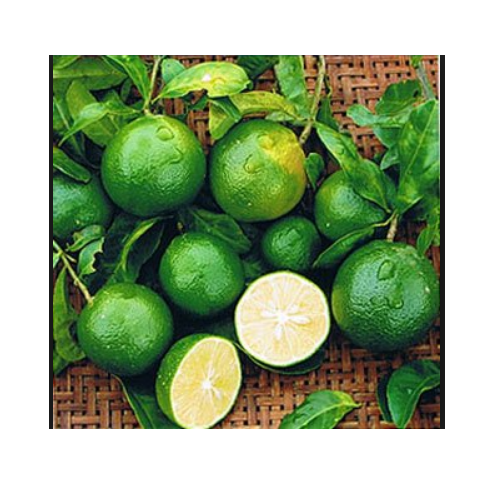 Lemon A Grade Fresh Lime, Packaging Type: Plastic Bag