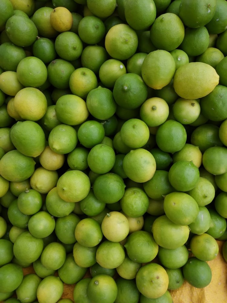 Lemon Fresh Lime