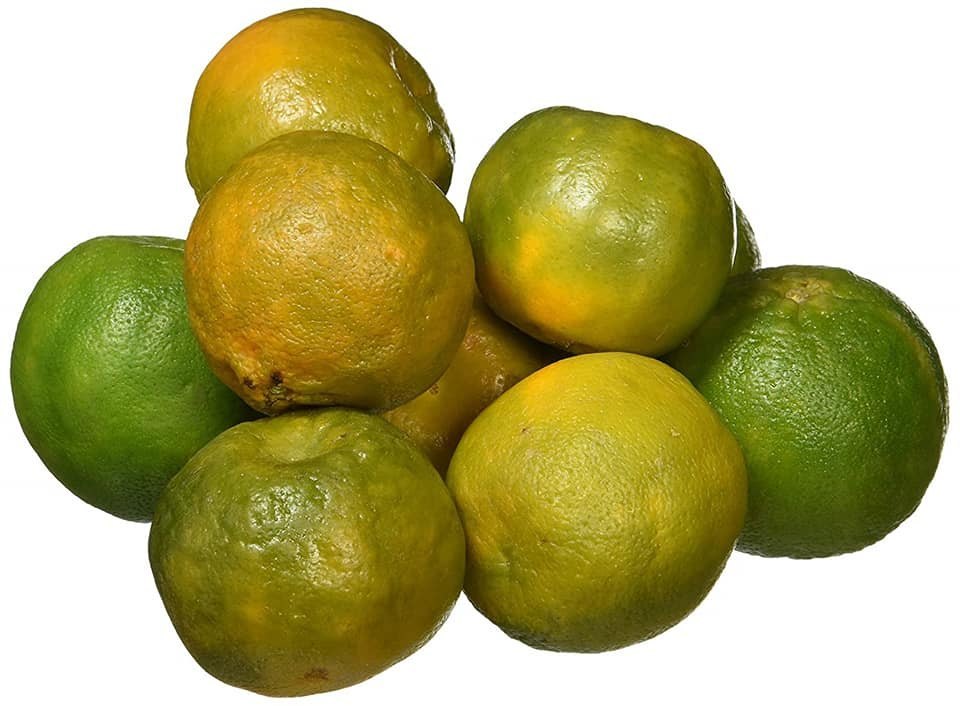 A Grade Maharashtra Mandarin Orange, Packaging Size: 25kg, Packaging Type: Carton