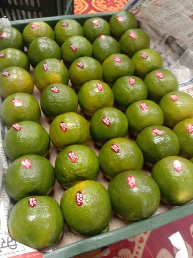 A Grade Maharashtra Oranges, Packaging Size: 20 Kg, Packaging Type: Carton