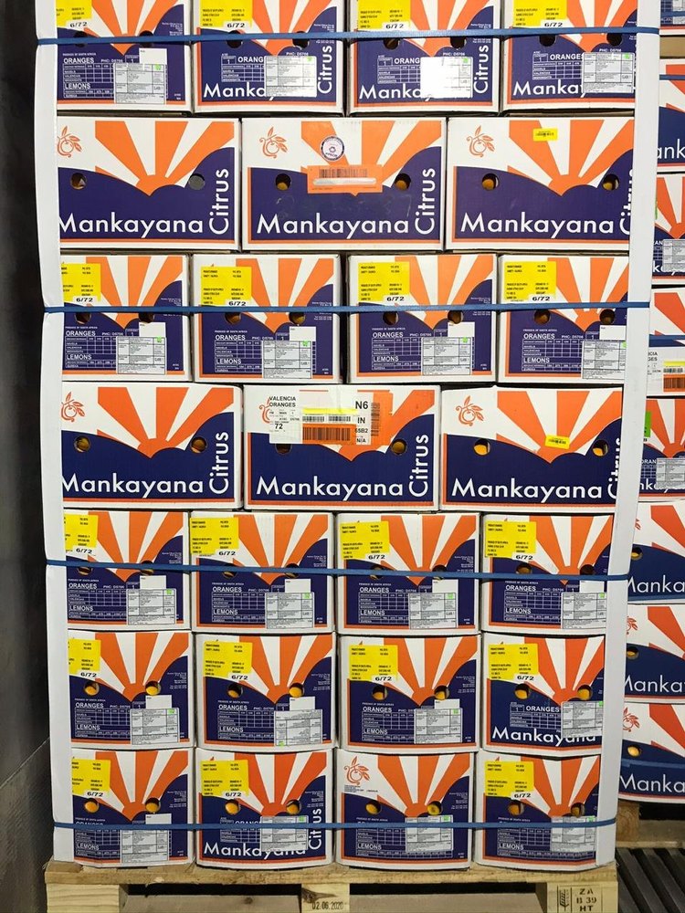 A Grade Valencia Orange, Packaging Size: 16 Kg, Packaging Type: Carton