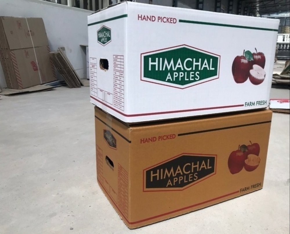 Apple Carton Box