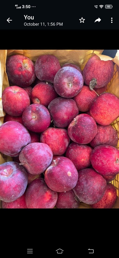 A Grade Turkey Irani Red Apple, Packaging Size: 10 Kg