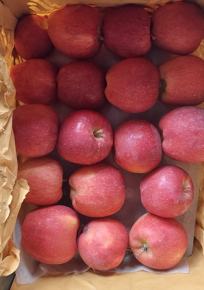 Kashmiri A Grade Red Apple, Packaging Size: 18 Kg, Packaging Type: Carton