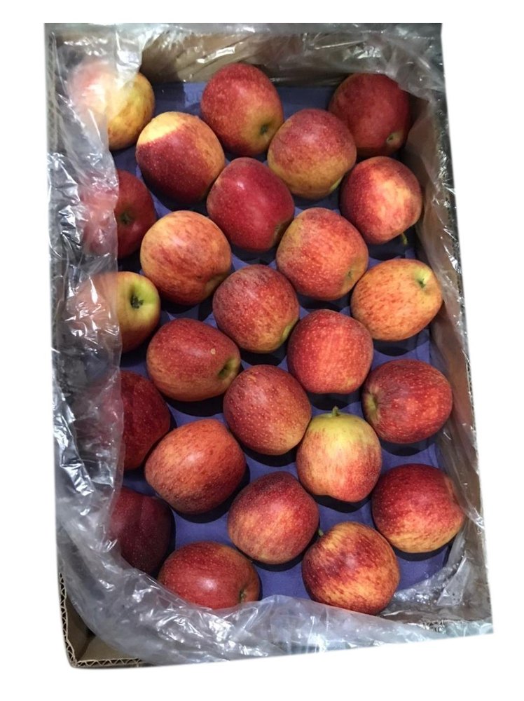 A Grade Fresh Apple, Packaging Type: Carton, Chile