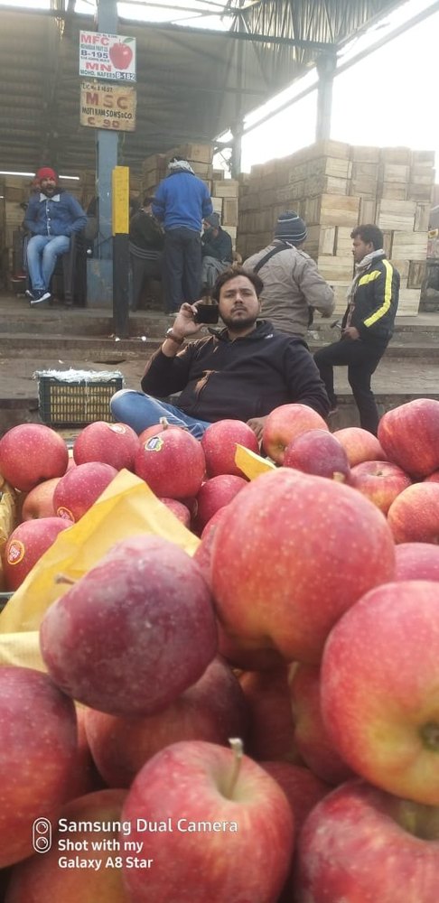 A Grade Kashmir Red Apple Iran, Packaging Size: 10 Kg, Packaging Type: Carton