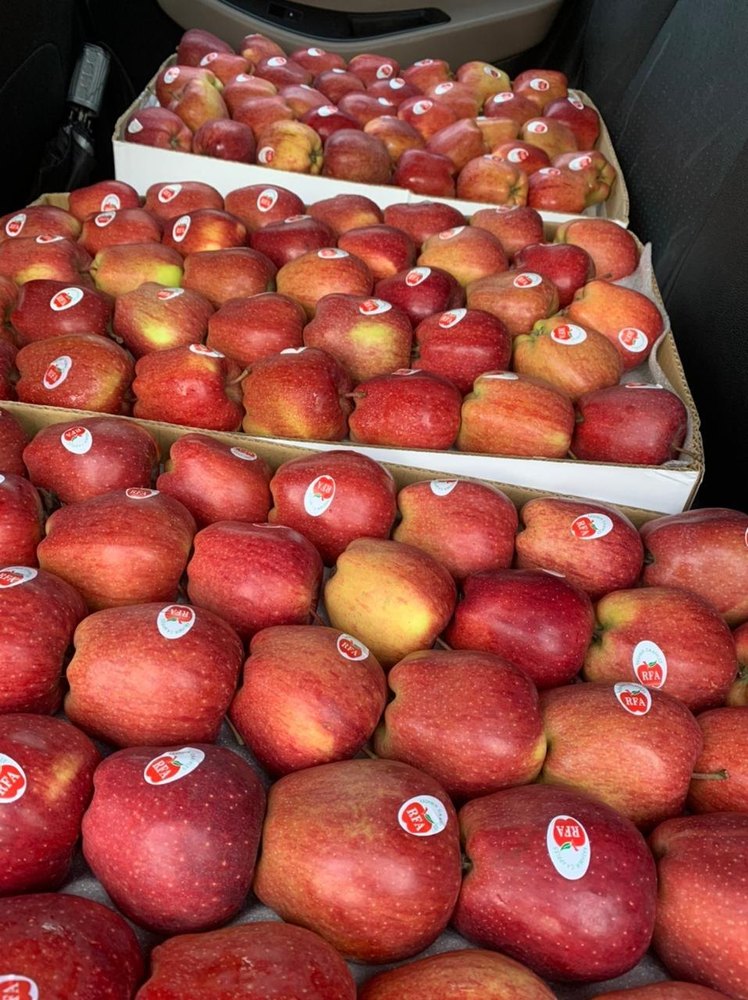 Himachali A Grade Fresh Red Delicious Apple, Packaging Size: 20 Kg, Kashmir And Himachal Pradesh