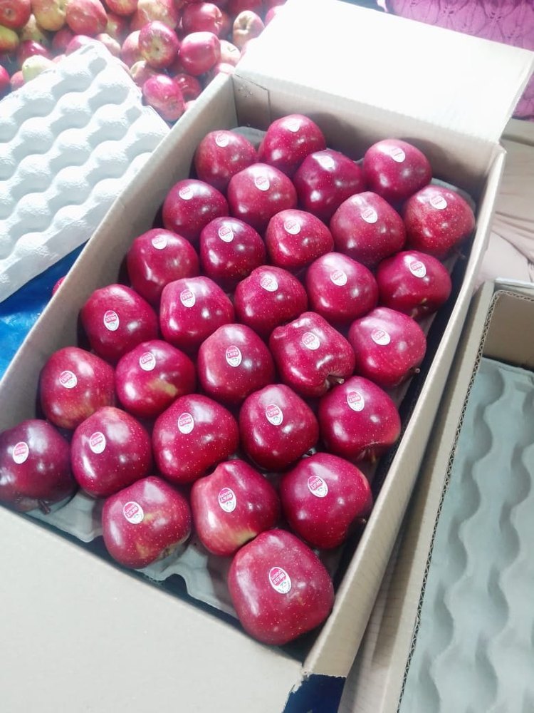 Himachali A Grade Shimla Kinnour Apple, Packaging Size: 20 Kg, Packaging Type: Carton