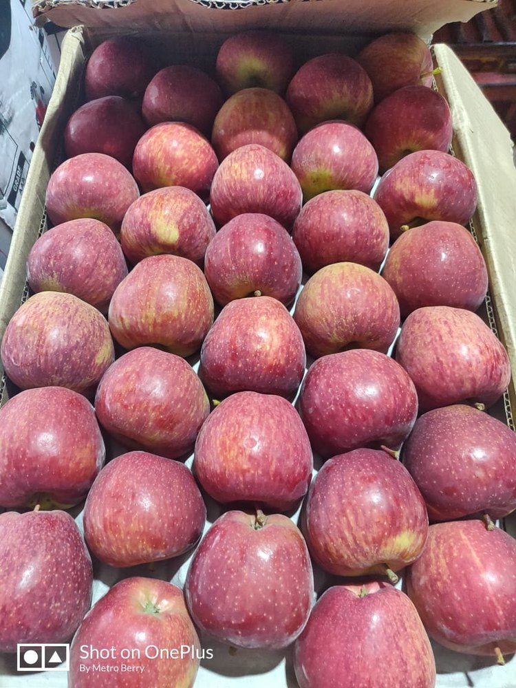Himachali A Grade SHIMLA APPLE, Packaging Size: 20 Kg, Packaging Type: Carton