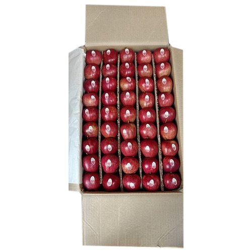 32kg A Grade Shimla Apple, Packaging Type: Carton