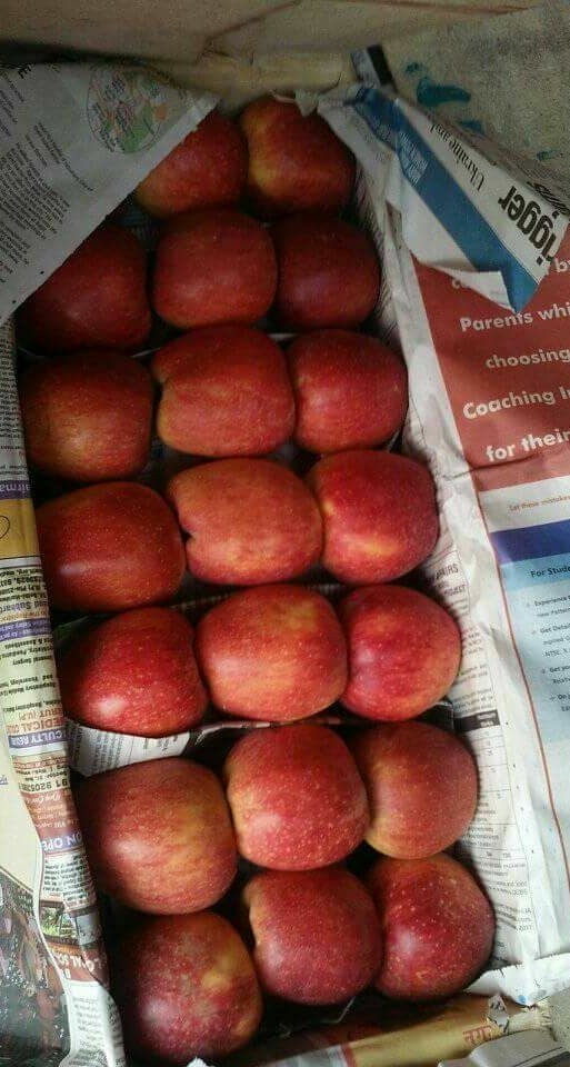 Himachali Shimla Apples, Packaging Size: 20 Kg, Packaging Type: Wood Box